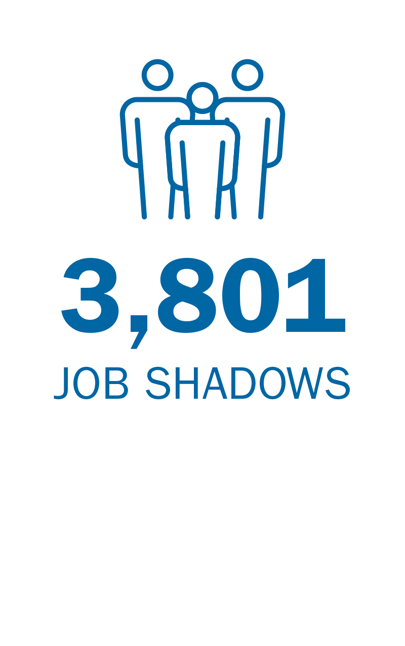 Job Shadows