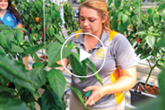 Explore Agriculture at Kirkwood