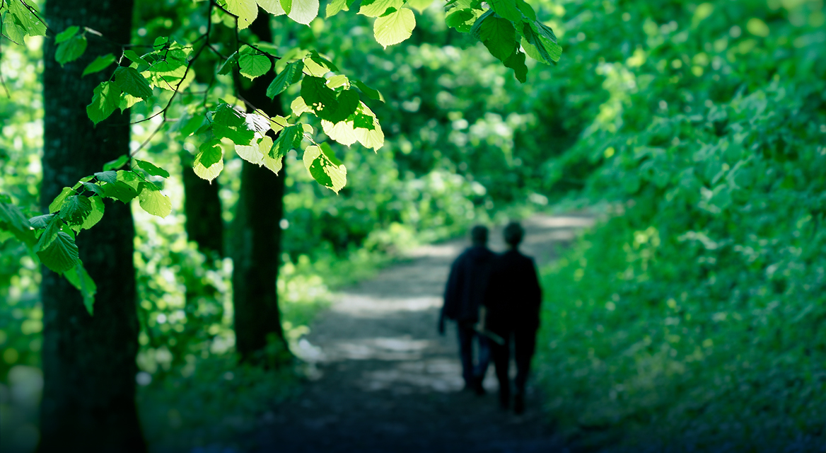 ${_EscapeTool.xml($alt)}