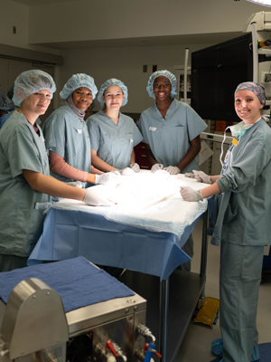 Spring job shadow and summer 2026 internship opportunities.